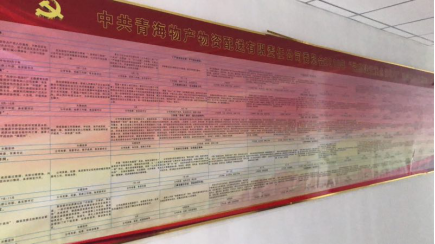 物產配送公司黨委“黨的建設重點強化年”活動2018年工作任務、組織保障具體化